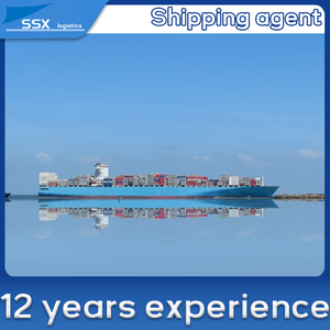 Agente de envío de mercancías, flete marítimo (flete marítimo barato), almacén FBA, DDP Express, China, Alemania, almacenamiento de 30 días, 7-9 días de tránsito - Product Image 6