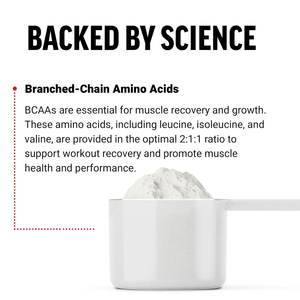Polvere <span class=keywords><strong>BCAA</strong></span> Naturale a Basso Contenuto di Carboidrati, Integratore Sportivo per Adulti, Confezione Personalizzata OEM, Gestione dell'Energia - Product Image 6