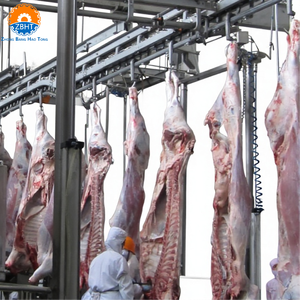 Maquinaria <span class=keywords><strong>para</strong></span> Mataderos de <span class=keywords><strong>Ganado</strong></span> <span class=keywords><strong>Bovino</strong></span> ZBHT, Equipo Completo de Procesamiento de <span class=keywords><strong>Carne</strong></span> Halal <span class=keywords><strong>para</strong></span> Plantas de Procesamiento de <span class=keywords><strong>Carne</strong></span>, Proveedor Chino - Product Image 1