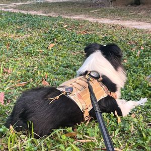 Outdoor LED <b>Dog</b> Harness Camouflage Oxford Cloth Chest Strap With <b>Lights</b> For Walking - Product Image 2