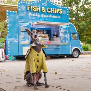 Qiqu पालतू पशुओं की आपूर्ति कस्टम नए डिजाइनर कुत्ते खाई कोट कुत्ते हवा कोट पालतू Windbreaker पालतू ऊपर का कपड़ा के लिए इतालवी ग्रेहाउंड साल की उम्र - Product Image 6