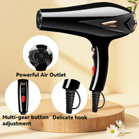 Teknologi Pengering Rambut Ruizi Salon, Perlindungan Super Panas Ganda, Motor AC 1400W, Angin Berkecepatan Tinggi, Pengeringan Cepat untuk Salon dan Rumah Tangga