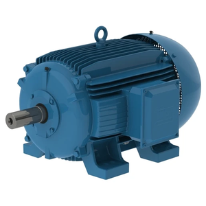 มอเตอร์เหนี่ยวนำแบบอะซิงโครนัสสามเฟส รุ่น W20 250 กิโลวัตต์ 4P 355M/L 3Ph 460/480 โวลต์ 50 เฮิรตซ์ IC411-TEFC-B5T 60 เฮิรตซ์ แบบกันน้ำ - Product Image 1