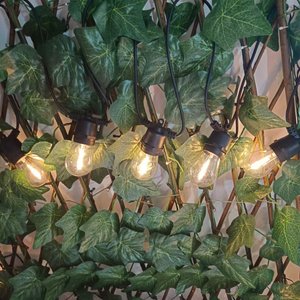 Guirlande lumineuse étanche S14 pour mariages, cafés, patios, fêtes et festivals, 10 pieds, vente en gros - Product Image 5