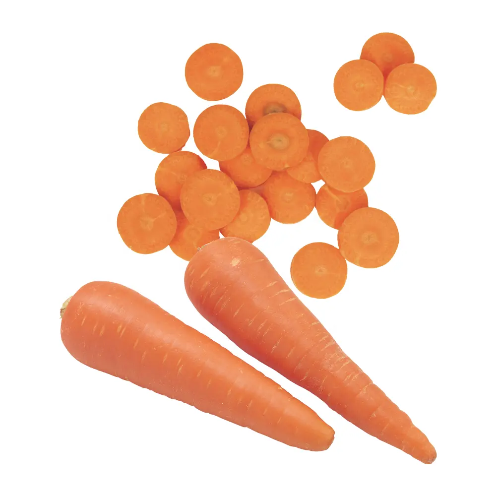 2023 New crop china Wholesale Chinese fresh vegetable carrot for export