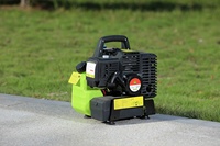 Hochwertiger tragbarer 800 W 1000 W Miniinverter-Benzin-Generator