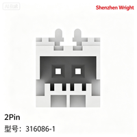 High Quality Original TE 316086-1 2Pin Male Wire-End 2.5mm Connector for Industrial Harness Connectors Accessories Terminals