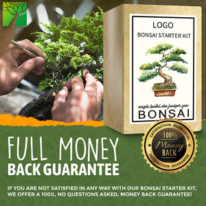 Mini kit <span class=keywords><strong>de</strong></span> culture biodégradable Ensemble d'arbres originaux pour la maison et le jardin Pépinière Feuille d'érable <span class=keywords><strong>Orme</strong></span> Genévrier Topaze-pour cultiver la vôtre! - Product Image 3
