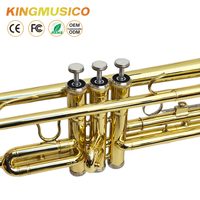Bb Trumpet Brass Body with Gold Lacquer Finish | Stainless Steel Valves, 120mm Bell | Student & Band Trumpet OEM Factory Supply