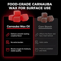 Gummies de créatine monohydrate à marque privée, saveur pastèque, pré-entraînement pour la musculation, force et masse musculaire, sans OGM, supplément végétalien
