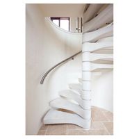 Escalier en spirale galvanisé pour extérieur, structure métallique robuste, anti-rouille, pour terrasse et projets de construction