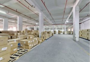 2025 FBA Best Seller Logística Agente de envío Sea Forwarder de China a AE/SA Amazon DDP por COSCO - Product Image 5