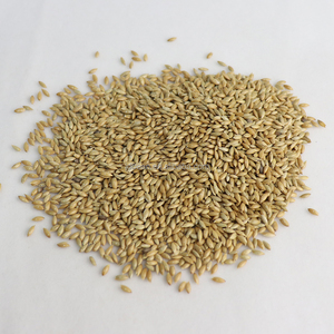 Nihewan Kanarievoer voor Vogels Groothandel Kanariezaad - Product Image 4