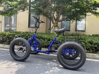 2025 Le Dernier Vélo Tout-Terrain Électrique, Quad Électrique, Vélo Électrique à Pneus Larges, Cycle à Quatre Roues