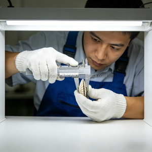 Coquillages blancs naturels pour l'artisanat, parfaits pour les carillons éoliens DIY, la peinture, la décoration intérieure, les ornements de mariage, les coquillages de <span class=keywords><strong>plage</strong></span> - Product Image 5