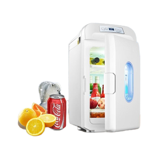 15L Popular -20 grados portátil 12V 24V DC compresor refrigeración nevera Mini Frigo para acampar al aire libre nevera Mini coche nevera - Product Image 6