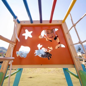 Wooden Climbing <b>Frame</b> With Slide And <b>Swing</b> For Children 4-6 Years Old Indoor Outdoor Play Structure - Product Image 2