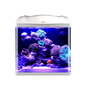 Ciotola per pesci in vetro per acquario piccolo in vetro personalizzato all'ingrosso per Bar Home Office - Product Image 3