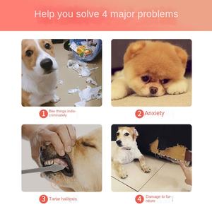 Sevgililer günü serisi PP malzeme olmayan su geçirmez Pet peluş temizlik Bite dayanıklı ses oyuncaklar dekompresyon Molar köpek oyuncaklar - Product Image 2