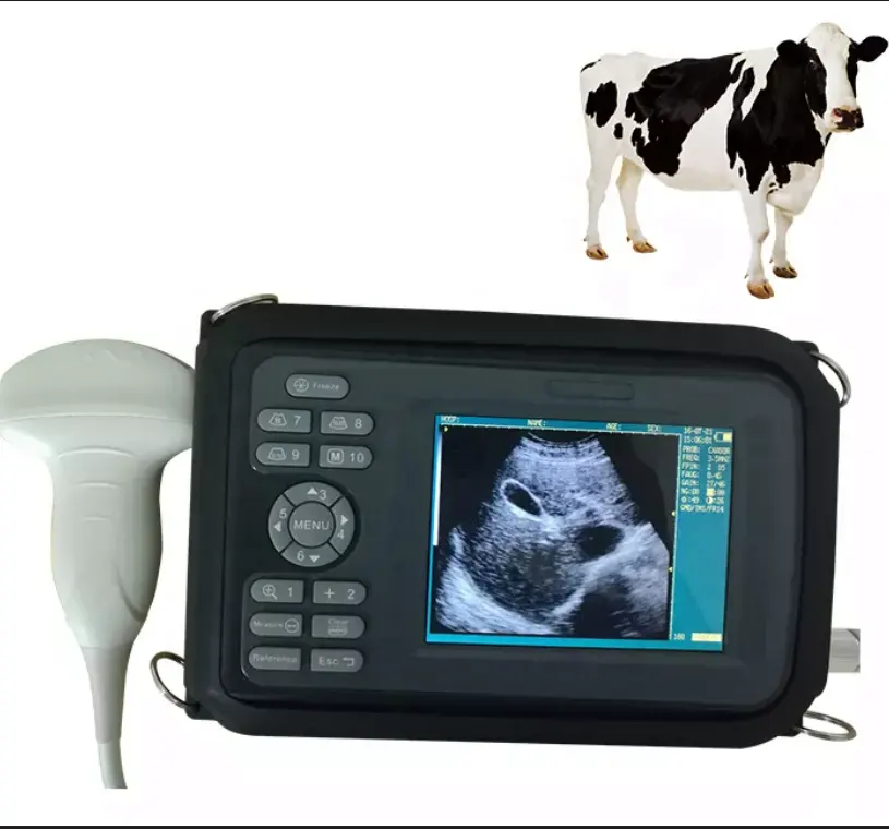 Machine à scanner fournisseur de sondes linéaires machine à ultrasons vétérinaire ultraportable machine à ultrasons vétérinaire d'occasion