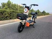 Venta Directa de Fábrica, Bicicleta Eléctrica Urbana de 48V 20AH 400W con Frenos de Tambor 110, Certificación CE, Xingjian