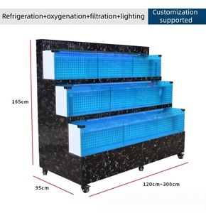 Meerlaags vierkant glazen milieuvriendelijk gekoeld viskom |   100L-500L Transparant Energiebesparend Aquarium - Product Image 6