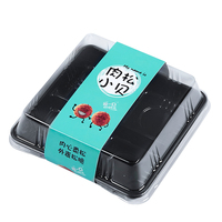Kotak Sandwich Mini PET Transparan, Kotak Penyimpanan Makanan Plastik, Buatan Guangdong, Kotak Takoyaki