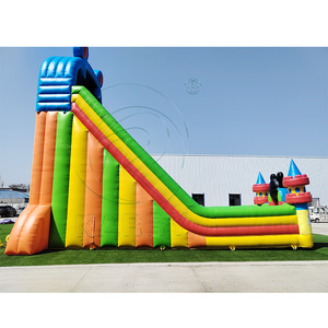 Château gonflable géant commercial à double toboggan pour enfants, parc d'attractions gonflable à thème dessin animé, idéal pour la vente - Product Image 4