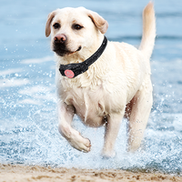 Meilleure Vente Produit Collier Anti-Aboiement Pet Trainer Smart Top Qualité Vente Collier de Dressage de Chien
