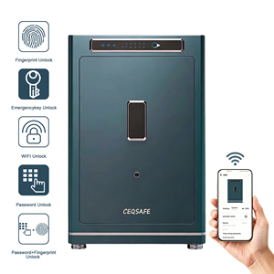 CEQSAFE Coffre-fort intelligent personnalisé avec application TUYA WIFI, antivol, pour armoire domestique, avec verrouillage par mot de passe et empreintes digitales, avec biometrie - Product Image 1