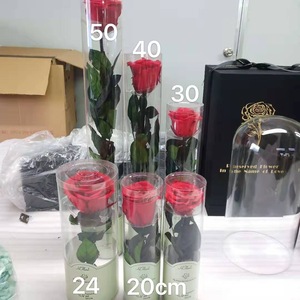 Cadeau d'anniversaire, de Saint-Valentin, de <span class=keywords><strong>la</strong></span> fête des mères, de remise de diplôme, de Noël, de mariage, roses <span class=keywords><strong>éternelle</strong></span>s préservées faites à <span class=keywords><strong>la</strong></span> main, hauteur 20 cm - Product Image 2