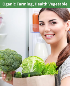 Housse de protection réutilisable en tissu non tissé pour plantes, idéale pour le jardinage et la protection agricole par temps froid – Personnalisation usine - Product Image 5