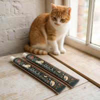 Pochette à friandises pour chat, anti-fuite, de qualité alimentaire, avec bec verseur à vis