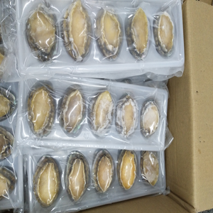 Fruits de mer glacée entier en coquilles, ml, vente en gros avec coque - Product Image 6