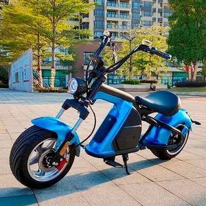 سعر المصنع مباشرة تنافسية دراجة بخارية كهربائية للبالغين 2400w e سكوتر الكهربائية سكوتر للبالغين