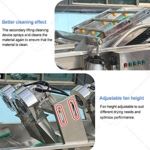 เครื่องล้างและคัดแยกมันฝรั่ง OCEAN รุ่น Apple Fruit Clean Peeler Slice Cut Line ขนาด 100 กก. - Product Image 4