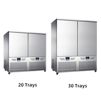3 5 10 15 20 30 Plateaux Plug-In Blast Freezer -40 °C Freeze Auto Defrost High Quality for Meat Seafood Bakery Fruit Use