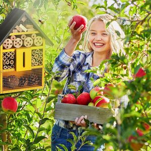 Casetta Interattiva in Legno per Api - Alloggio Naturale per Api Solitarie e Habitat per Insetti - Cassetta Nido da Esterno per Insetti Polinizatori e Api da Giardino - Product Image 4