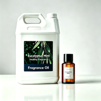 Huile parfumée à la menthe eucalyptus, notes végétales naturelles, huile aromatique 50/100/500ml, recharge de diffuseur, huile parfumée pour hôtel, maison, bureau