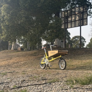 Bicicletta Elettrica da Carico CNEBIKE Certificata CE, E-<span class=keywords><strong>Lastenrad</strong></span> a 2 Ruote con Cassetta in Legno, Bici per Consegne Familiari per la Germania - Product Image 2
