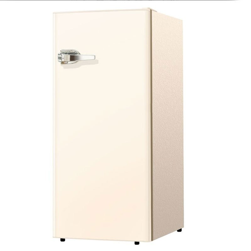 110V Double-Door Refrigerator – Household Direct Cooling Fridge with Auto-Defrost for Rental Homes