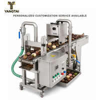 Machine industrielle d'enrobage au chocolat pour biscuits, gâteaux et craquelins