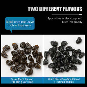 30 leurres souples en forme de conque, parfum poissonné intense, appât flottant à base de viande <span class=keywords><strong>d</strong></span>'<span class=keywords><strong>escargot</strong></span> <span class=keywords><strong>pour</strong></span> carpe herbivore, vente en gros <span class=keywords><strong>d</strong></span>'usine <span class=keywords><strong>pour</strong></span> réservoirs Black Pit - Product Image 3