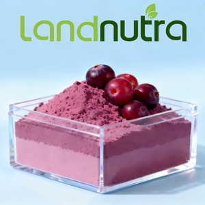 Chiết xuất quả nam việt quất hữu cơ USDA bán chạy nhất, bột quả nam việt quất, bột chiết xuất nam việt quất chất lượng cao - Product Image 2