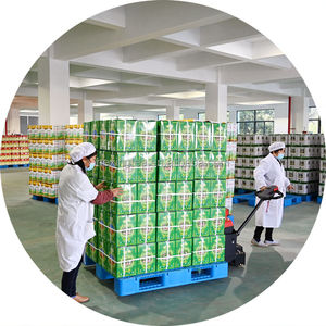 ชาเขียวชุนเม่คุณภาพสูงจากจีน 40122 RAHA - Product Image 4
