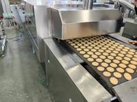 Four de séchage tunnel à gaz entièrement automatique avec convoyeur pour la cuisson du pain, des biscuits et des gâteaux, séchoir industriel en acier inoxydable pour boulangerie
