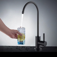 Robinet purificateur d'eau en acier inoxydable 304, col de cygne, levier unique, système RO, double sortie, eau potable, cuisine, chrome noir mat