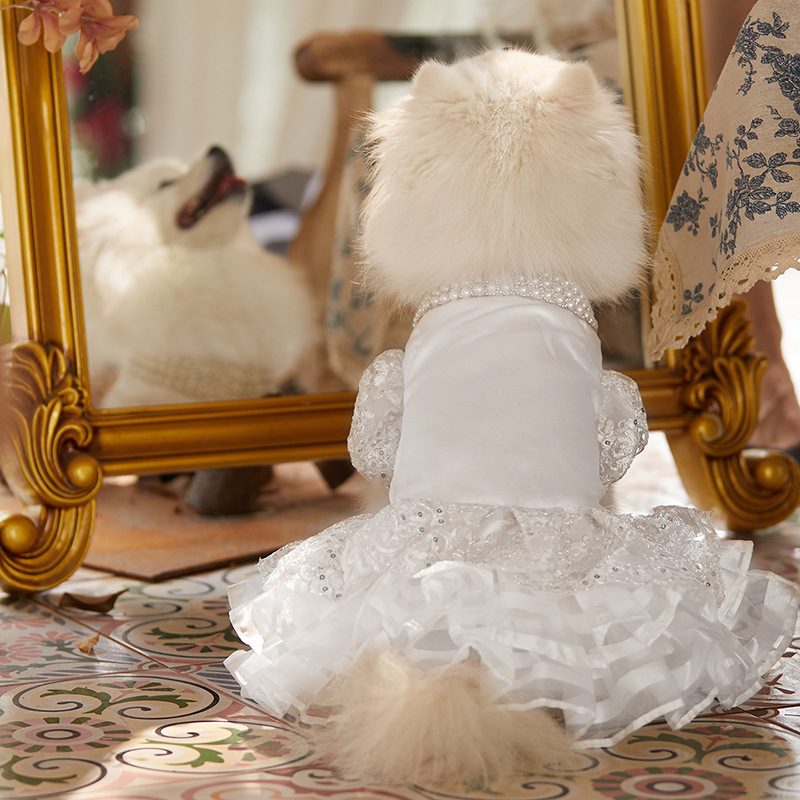 Vestido Noiva Para Cães - Rendado Com Saia Tutu E Laço De Pérolas Branco