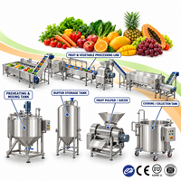 Automatische fruit- en groentesap puree verwerkingslijn voor mango, appel en ananas