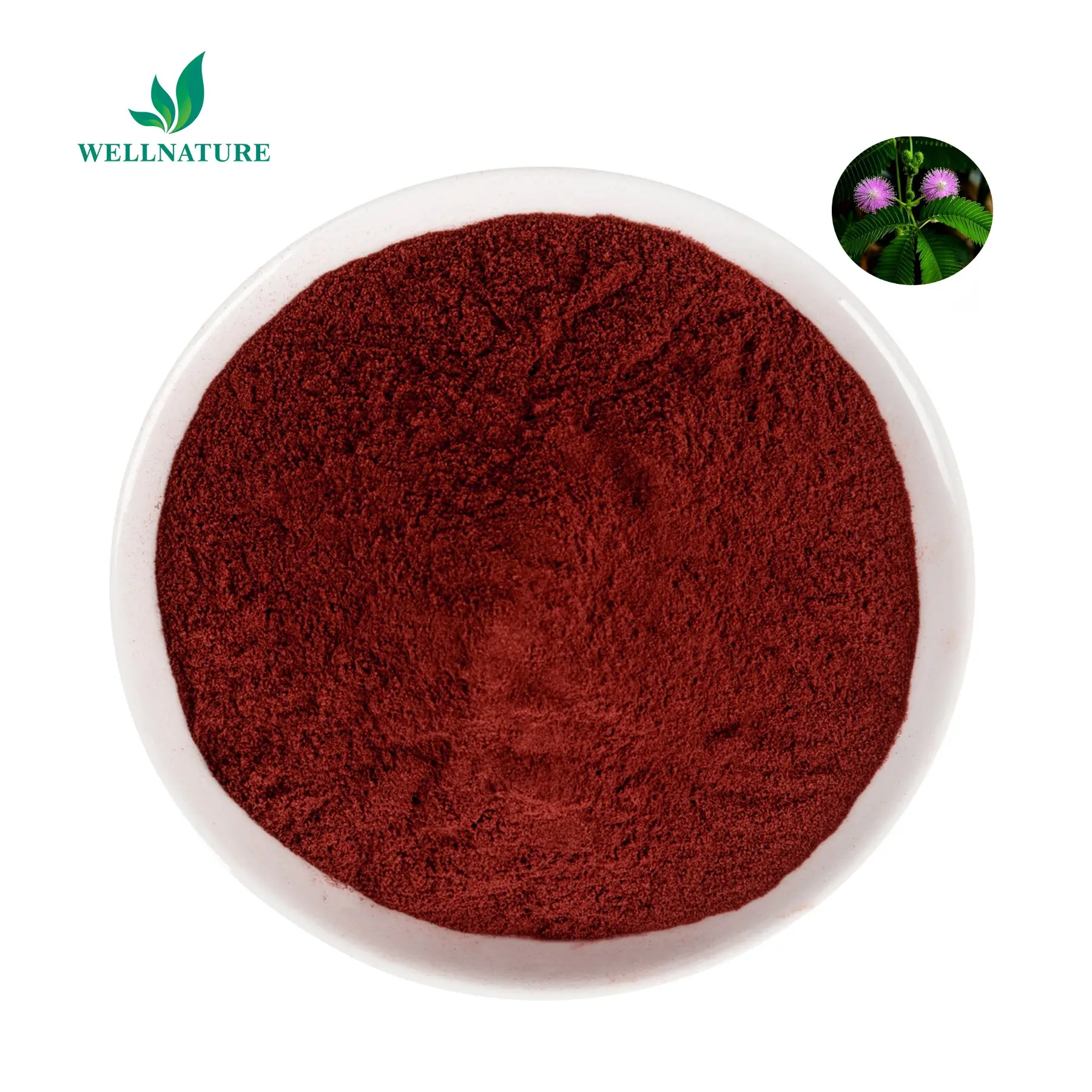 High Quality Mimosa Root Bark Extract 10:1 Mimosa Root bark powder